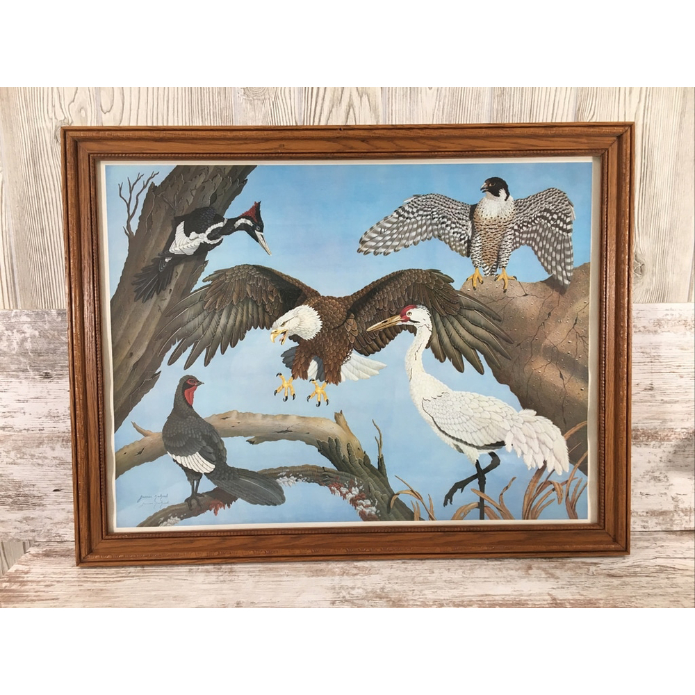 James Kukrul Wildlife Print Signed & Framed Eagle Crane Woodpecker 22x27 - Picture 5 of 16